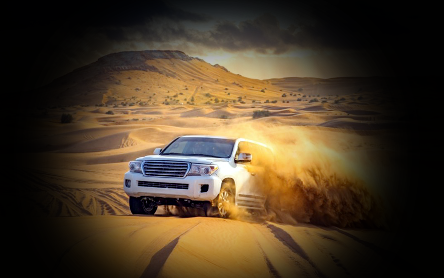Desert Safari